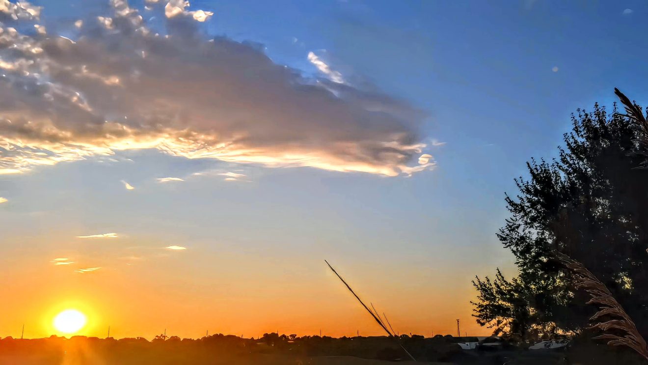 "Mystical ambient sunrise: dawn high desert prairie scenery, morning meadow magic, golden rays."