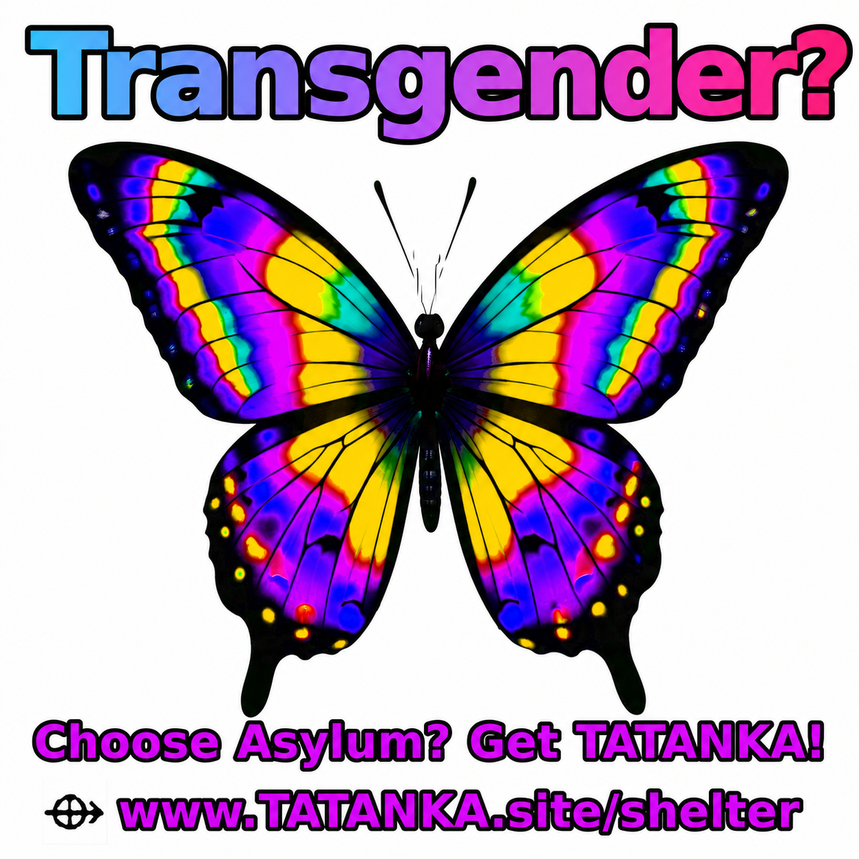 Transgender?