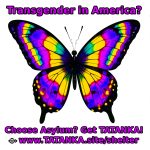 Transgender Rights Under Fire: TATANKA’s Sanctuary Response, a Timeline and Resources