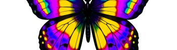 Transgender Rights Under Fire: TATANKA’s Sanctuary Response, a Timeline and Resources