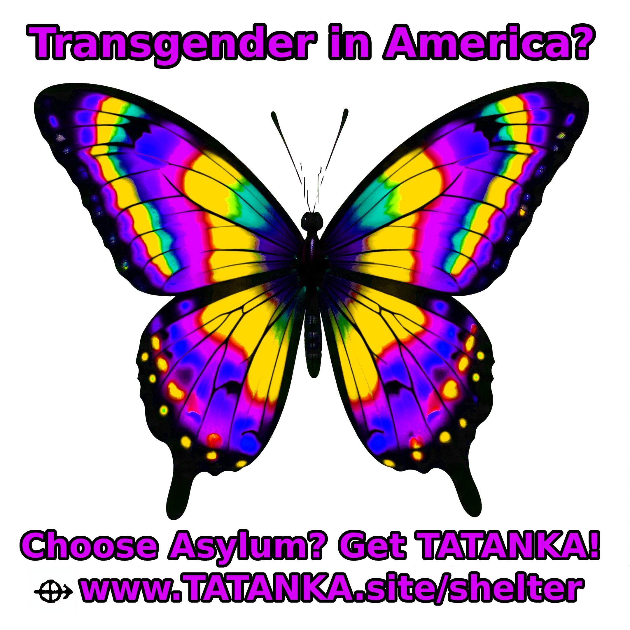 Transgender Rights Under Fire: TATANKA’s Sanctuary Response, a Timeline and Resources
