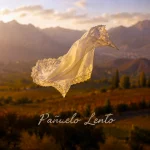 Pañuelo Lento